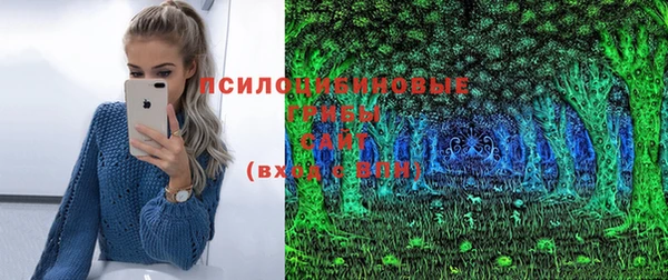 МДПВ Белокуриха