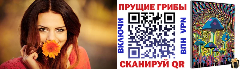 blacksprut   Козельск  Галлюциногенные грибы мухоморы 